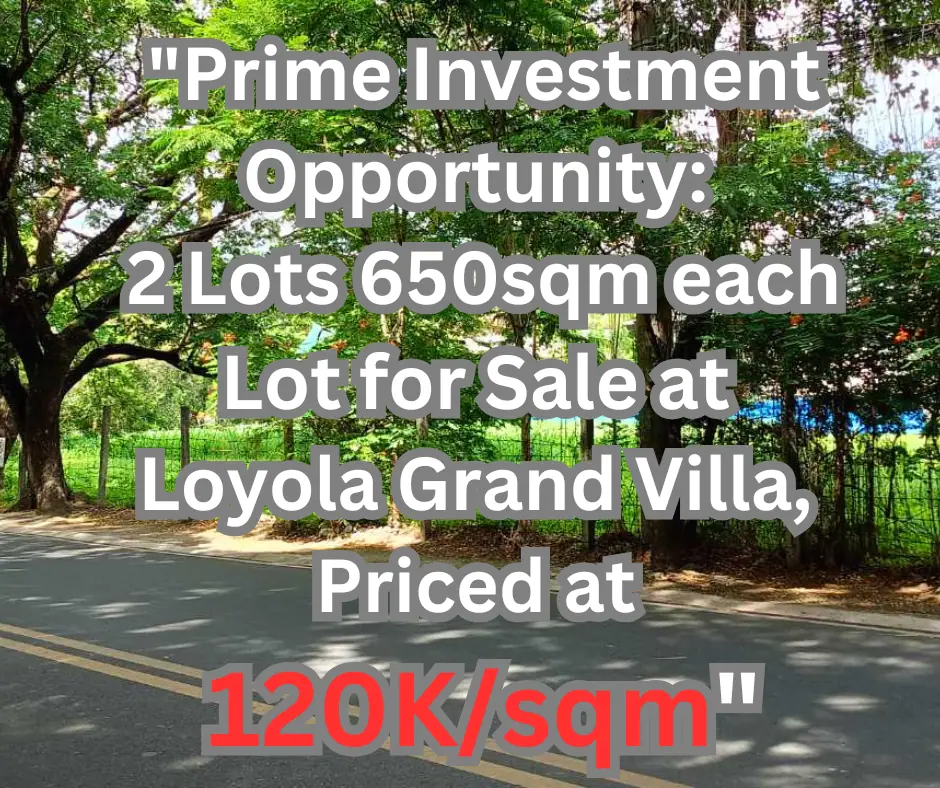 2 Side-by-Side 650 sqm Lots, Loyola Grand Villas
