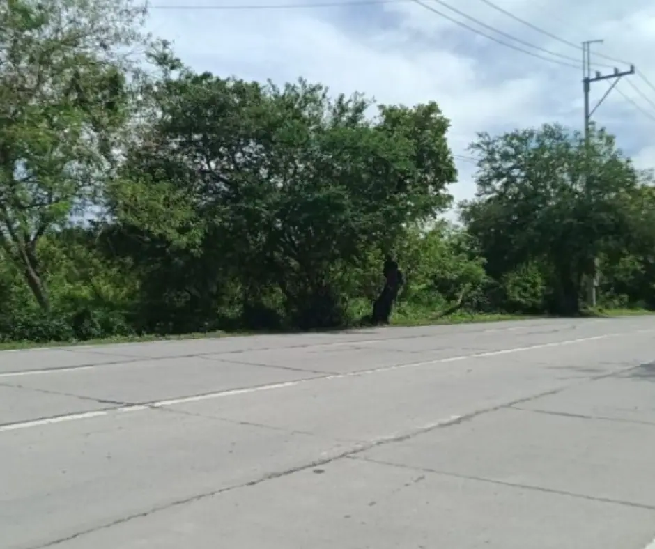 3.2-Hectare Commercial/Industrial Land photo 3
