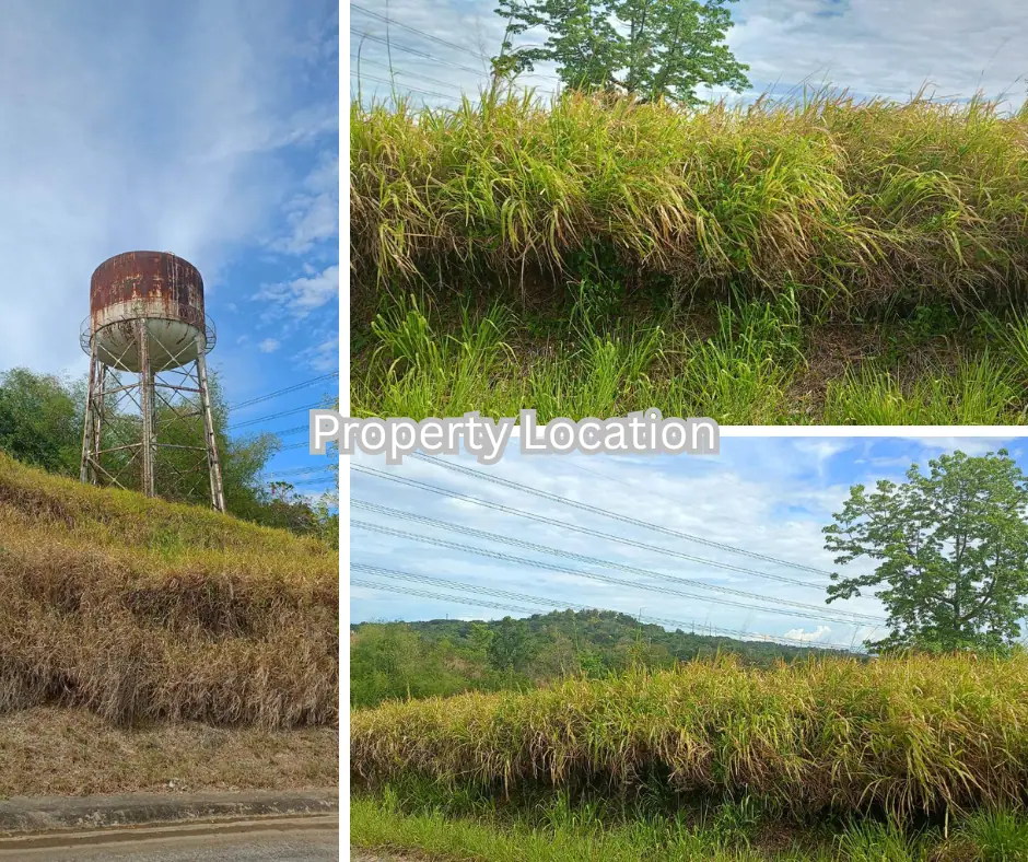 590 sqm Lot in Parkridge, Valley Golf photo 3