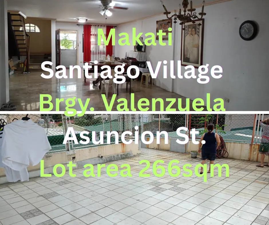House and Lot in Santiago Village